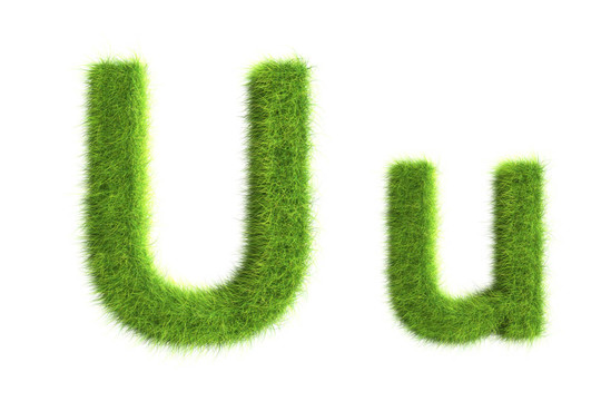 草的信