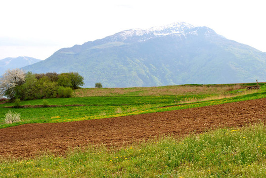 農(nóng)業(yè)綠色