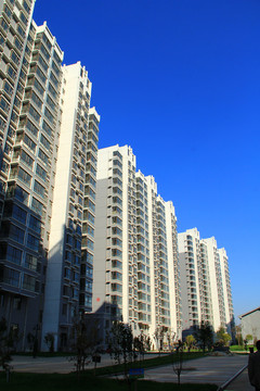 新建住宅