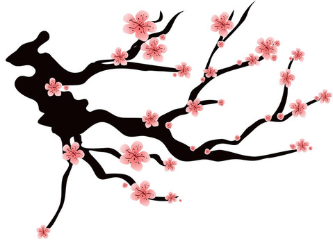 粉紅色的李子開花