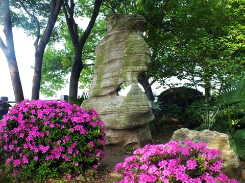 公園一角