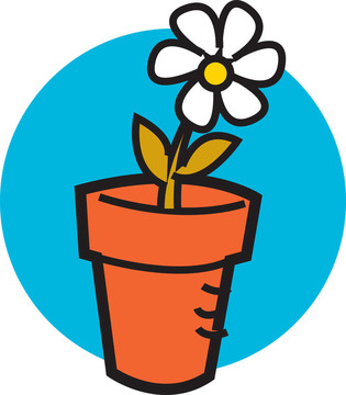 一個(gè)美麗的雛菊Flowerpot
