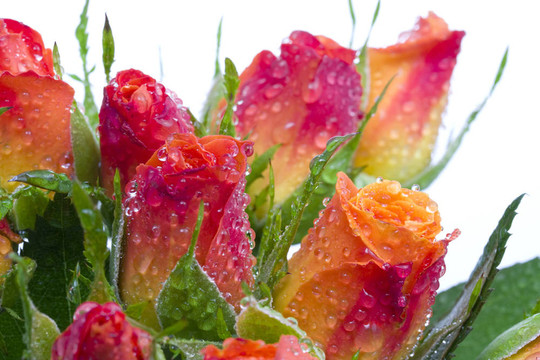 花束