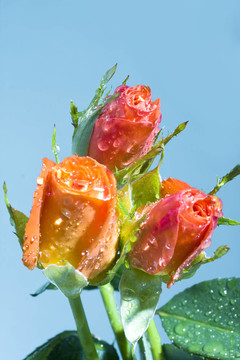 花束