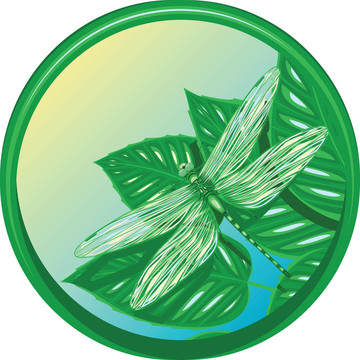 綠蜻蜓