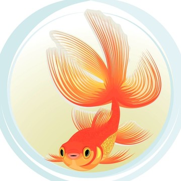 金色的魚