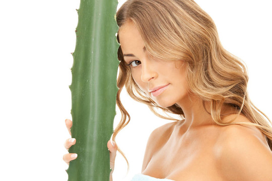 可愛(ài)的女人與aloe vera