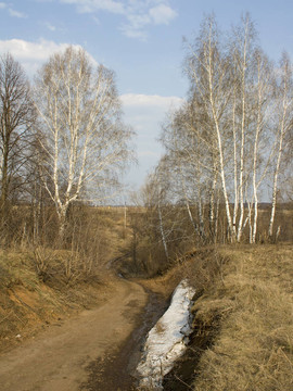 春路2