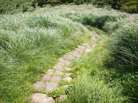小徑穿過長滿草的小山