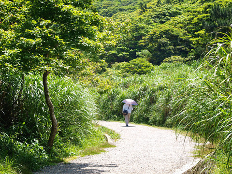 一個(gè)人中午在鄉(xiāng)間小路上散步