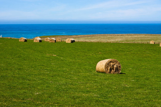Hay Bales在海岸