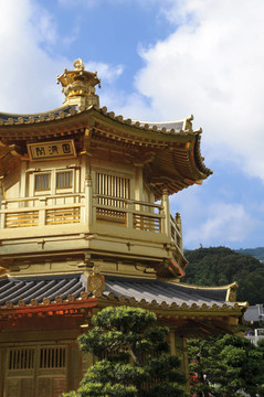 中國園林中的金色亭