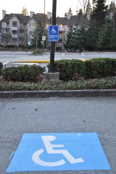 禁止停車