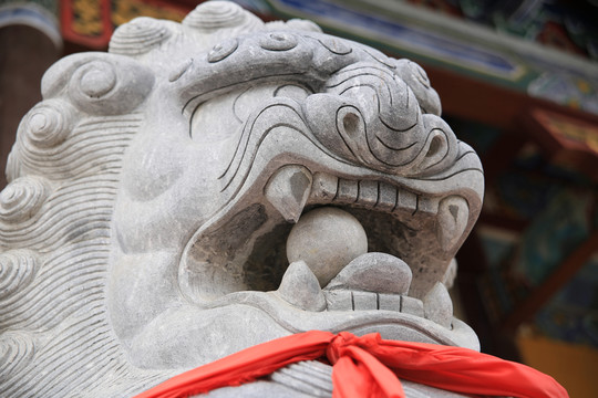 石獅子頭特寫