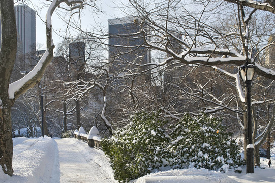 雪橋中央公園