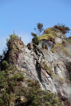 Waimangu谷地?zé)釁^(qū)