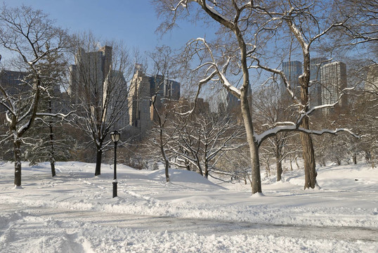 公園里的雪