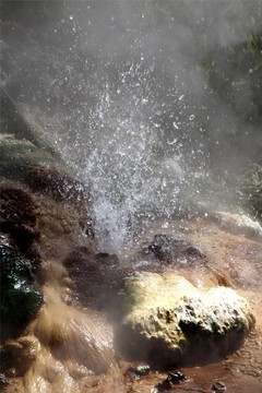 Waimangu谷地?zé)釁^(qū)