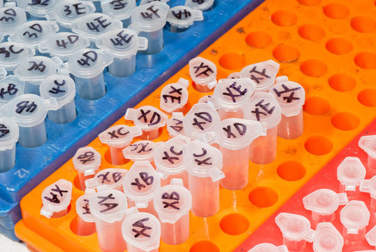 科學(xué)試驗(yàn)離心管