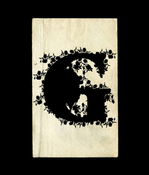字母G.
