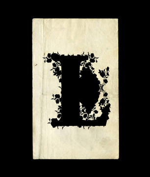 字母L。