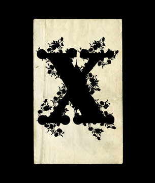 字母x。