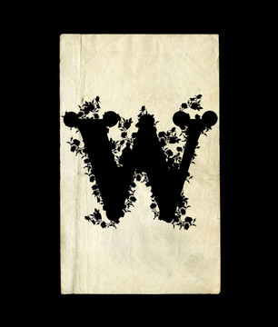 字母W。