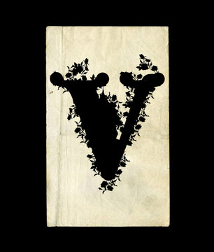 字母V.