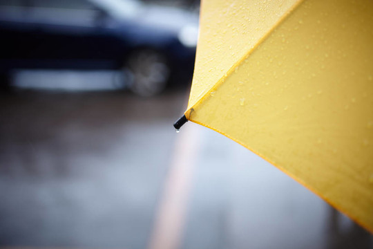 雨