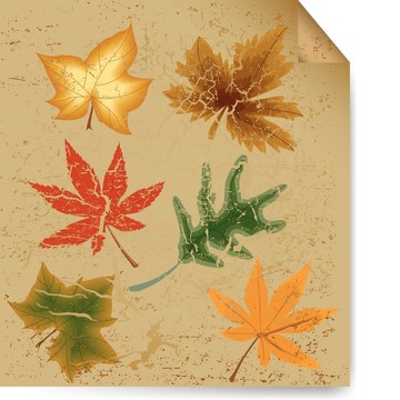 秋季藝術(shù)葉復(fù)古背景。
