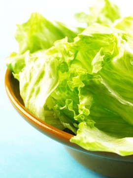 生菜