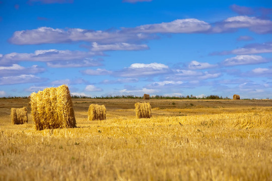 金strawbales