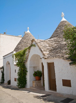 特魯利。阿爾貝羅貝洛。Apulia。