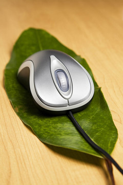 葉子上的電腦鼠標(biāo)