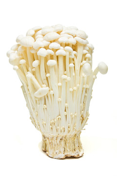金針菇