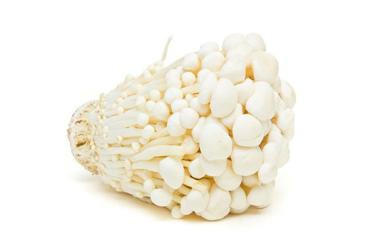金針菇
