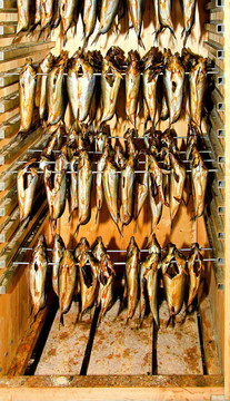 熏鯡魚
