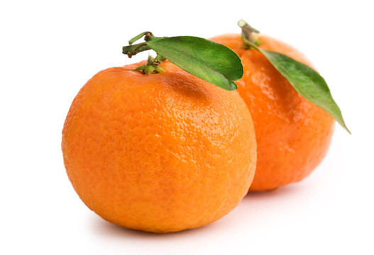Tangerine夜店兩葉