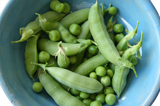 新鮮豌豆