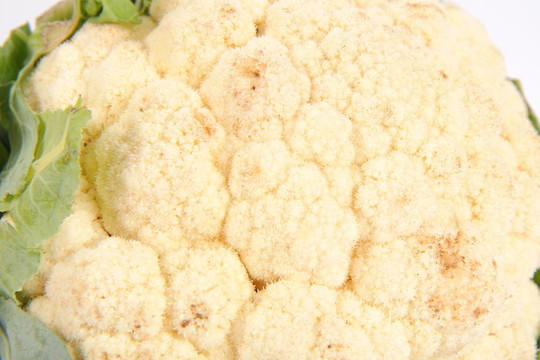 菜花
