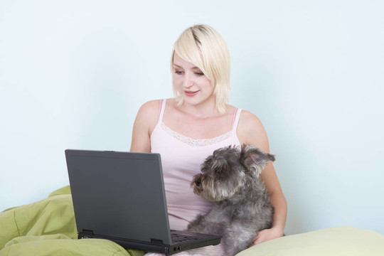 年輕的女人在床上用筆記本電腦和雪納瑞犬