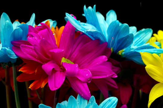 花