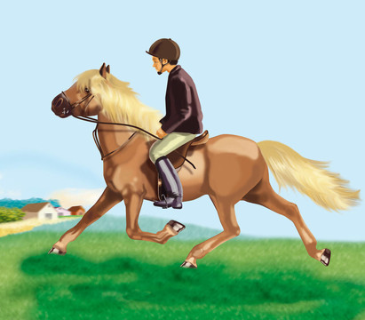 小馬小跑