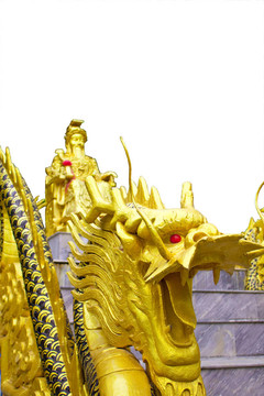 為中國天王龍