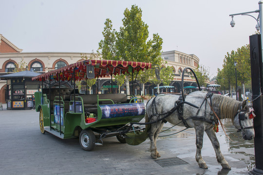 旅游觀光馬車