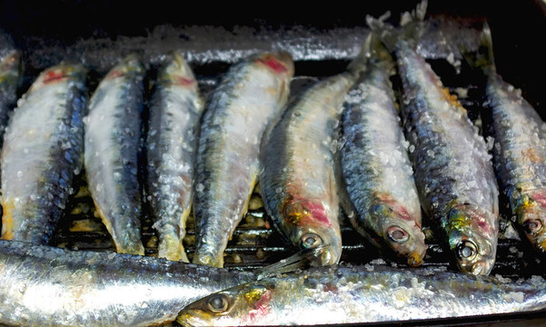 葡萄牙沙丁油魚。