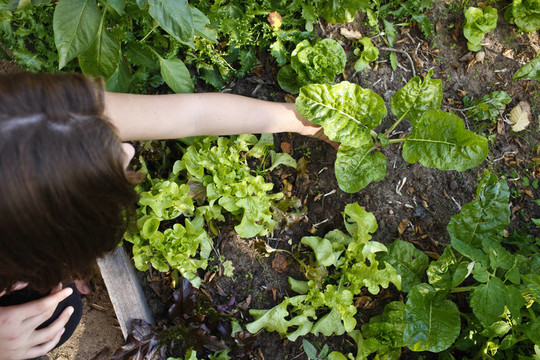 一個年輕女孩在花園里冒險學習如何種植自己的食物。