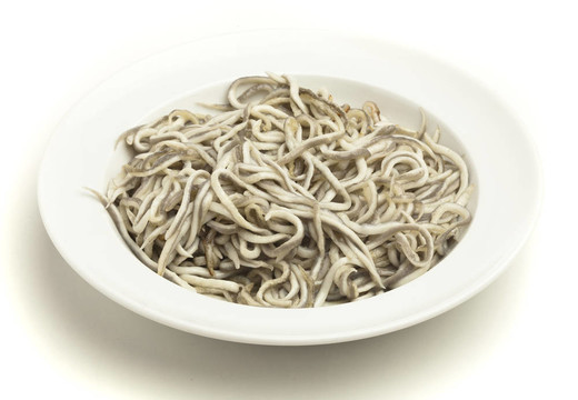 鰻魚