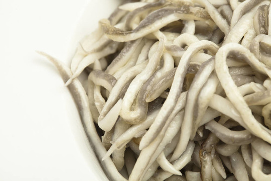 鰻魚