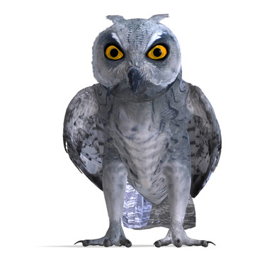 角鸮鳥。3D渲染與剪輯路徑和陰影超過白色